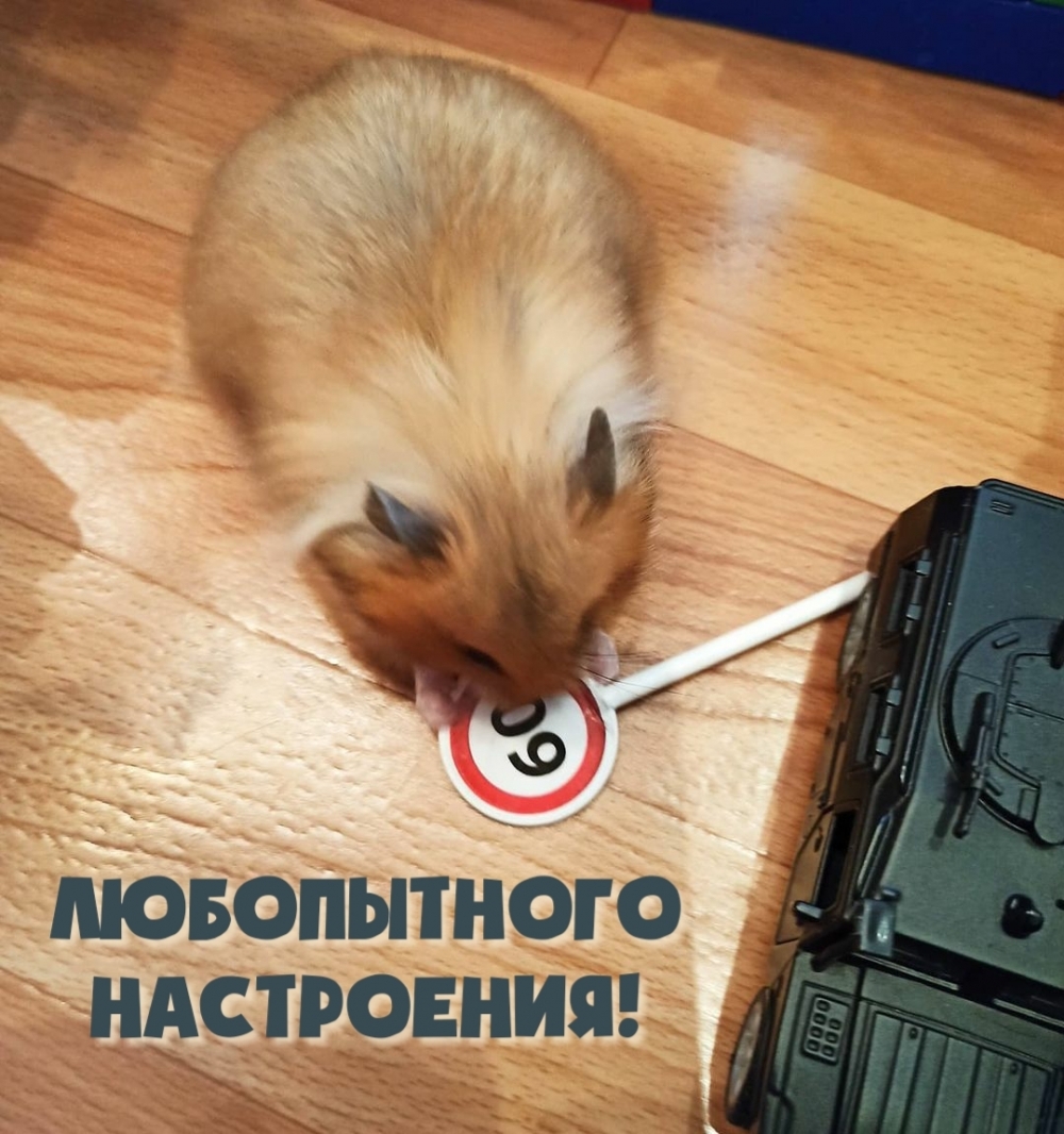 Любопытного настроения!