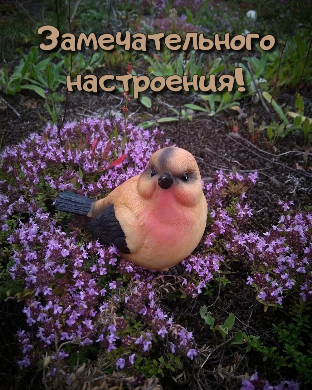 Замечательного настроения!