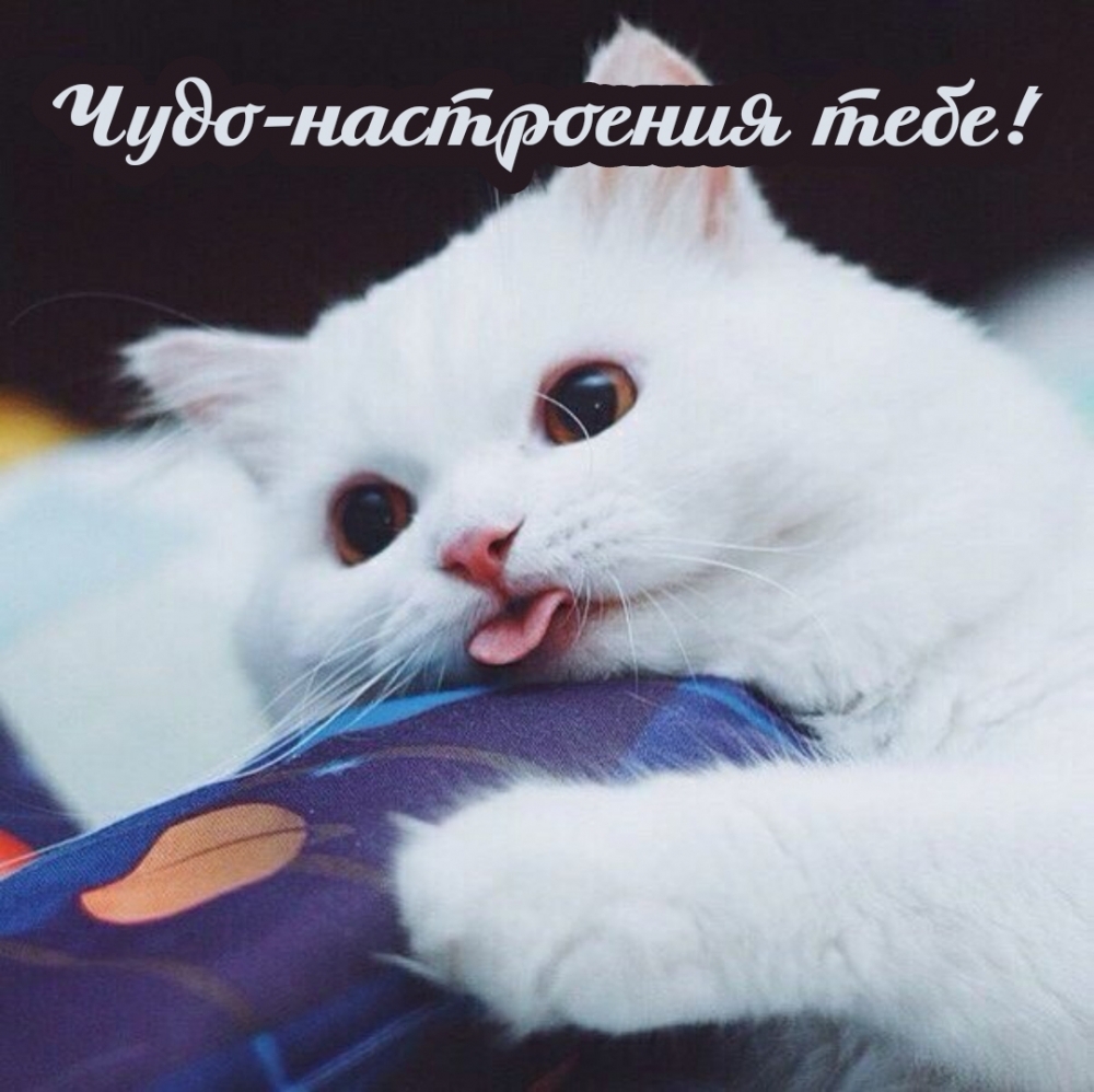Чудо-настроения тебе!