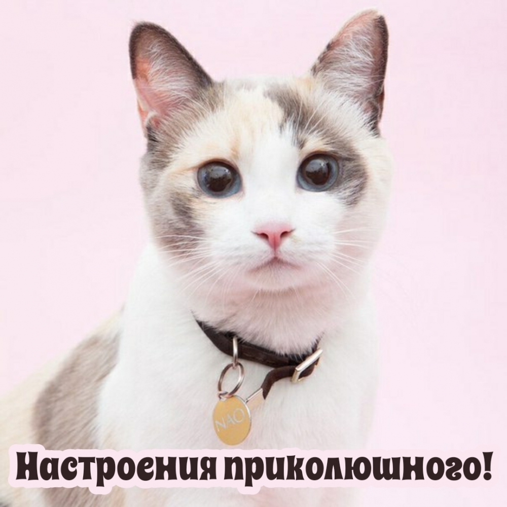 Настроения приколюшного!