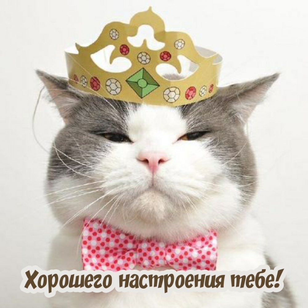 Хорошего настроения тебе!