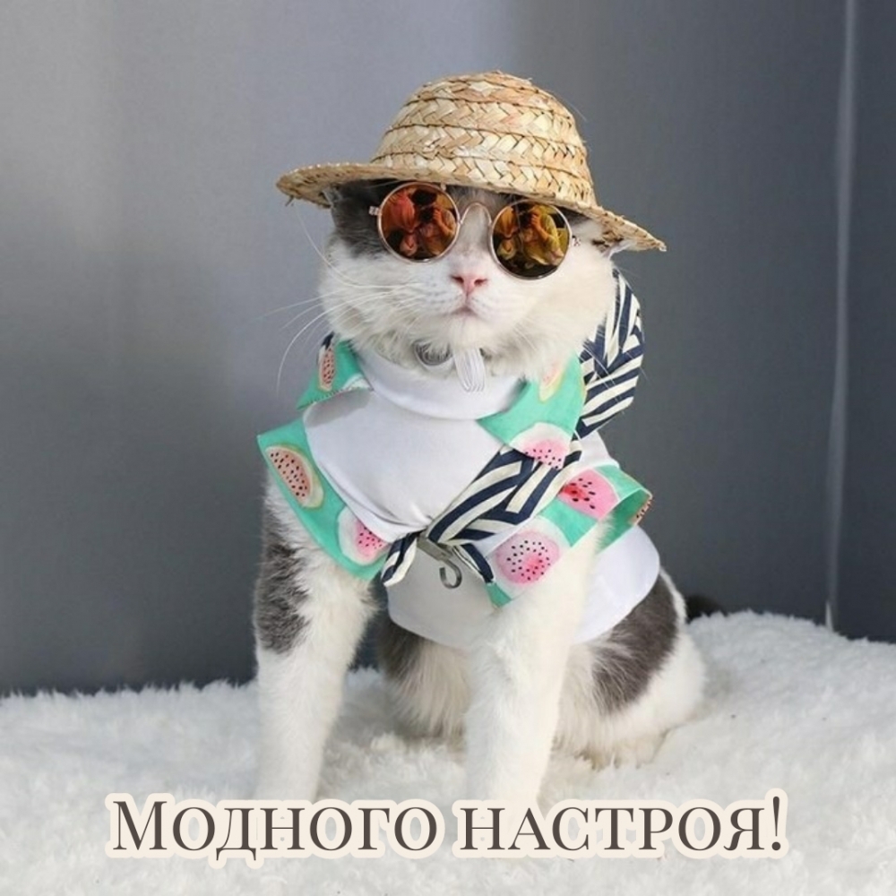 Модного настроя!