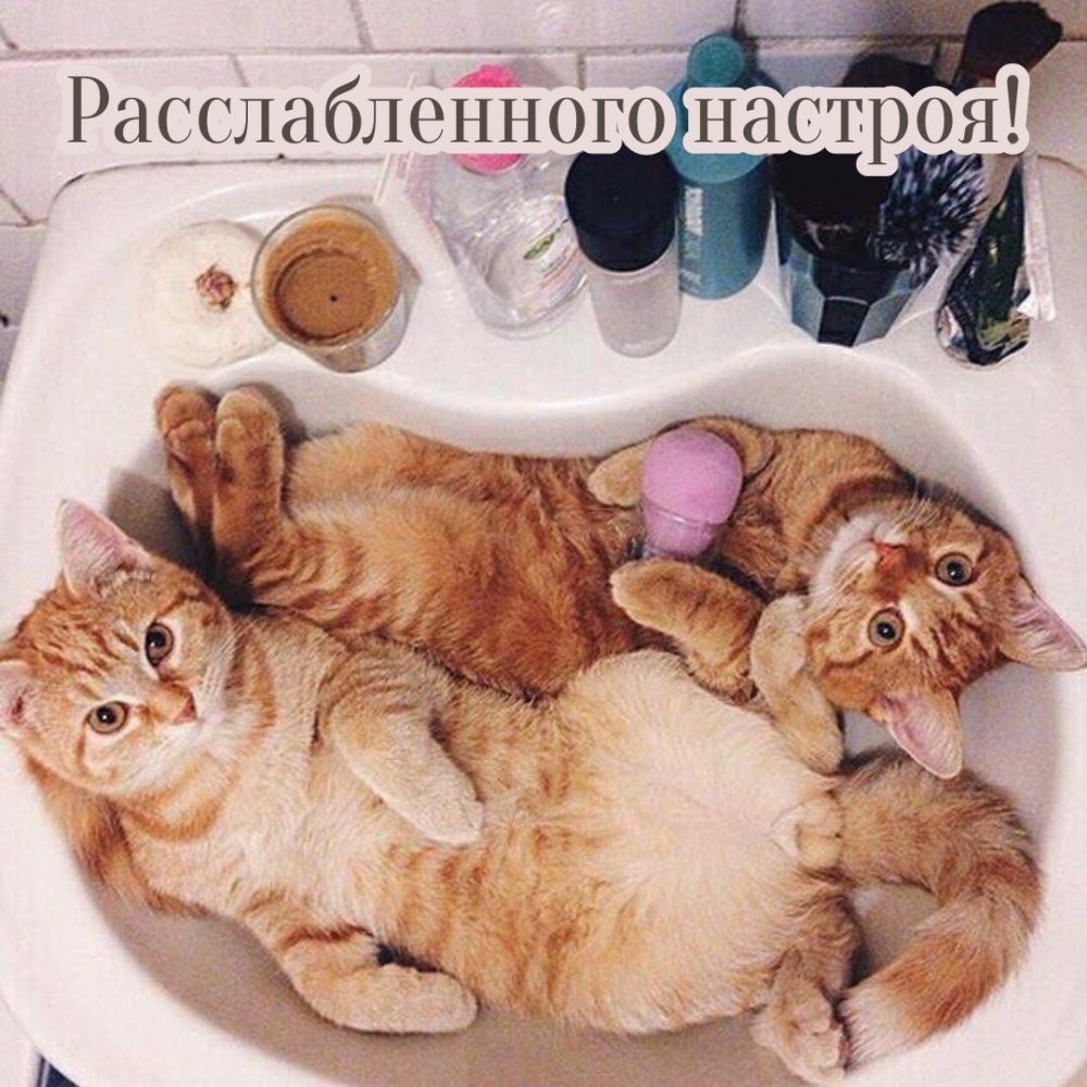 Расслабленного настроя!