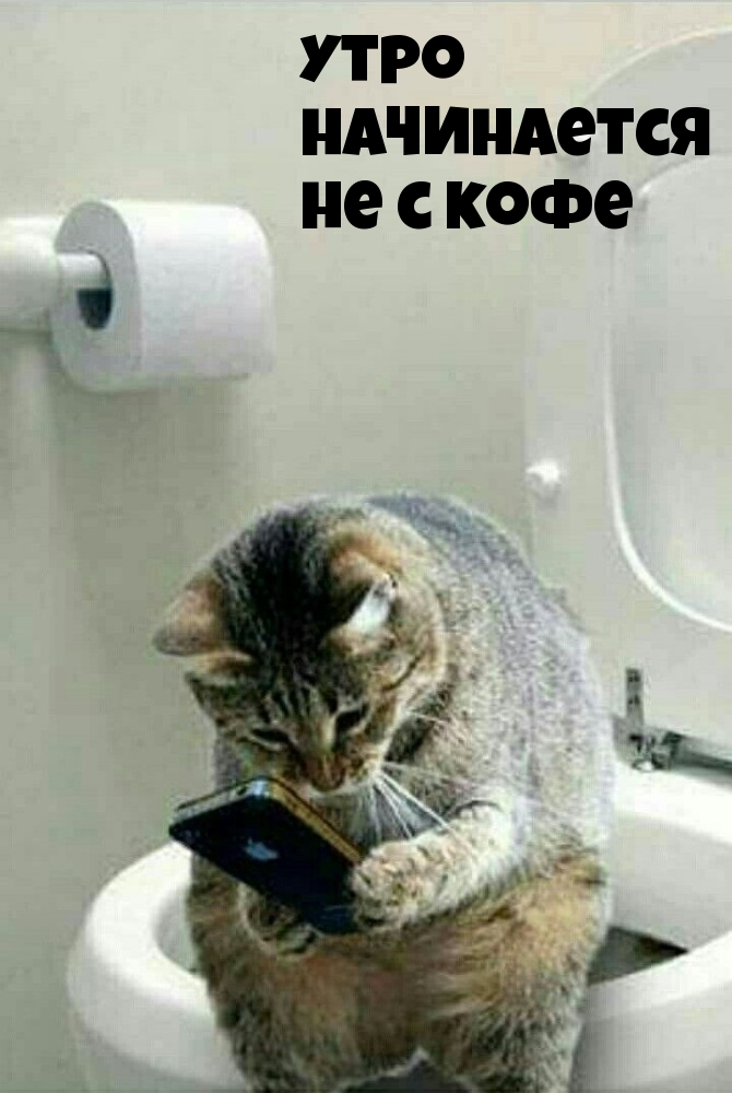 Утро начинается не с кофе