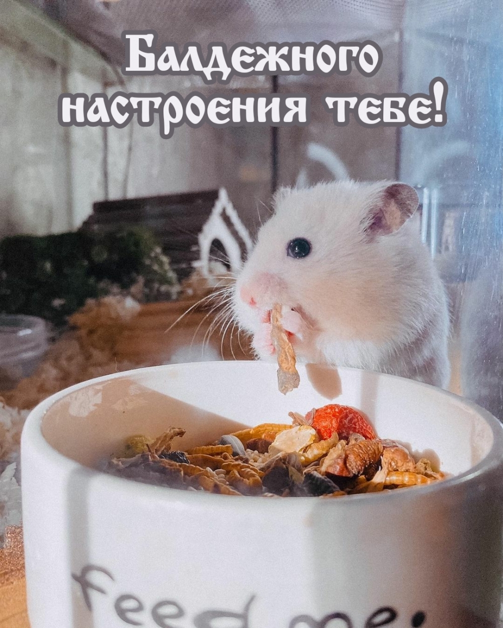 Балдежного настроения тебе!