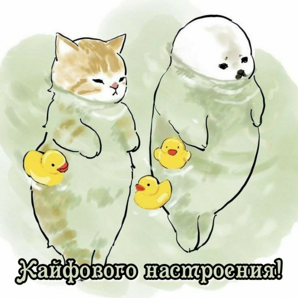 Кайфового настроения!