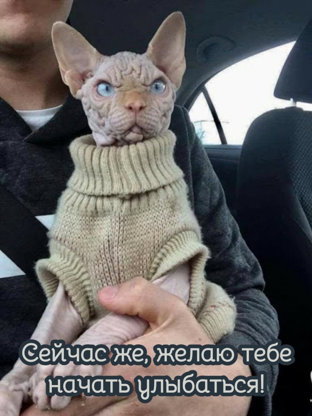 Сейчас же, желаю тебе начать улыбаться!