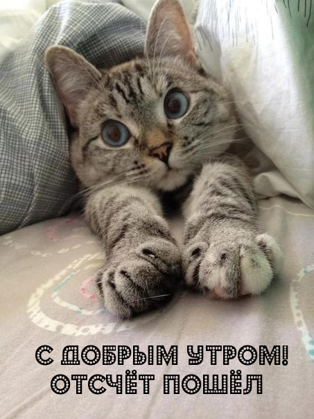 С добрым утром! Отсчёт пошёл