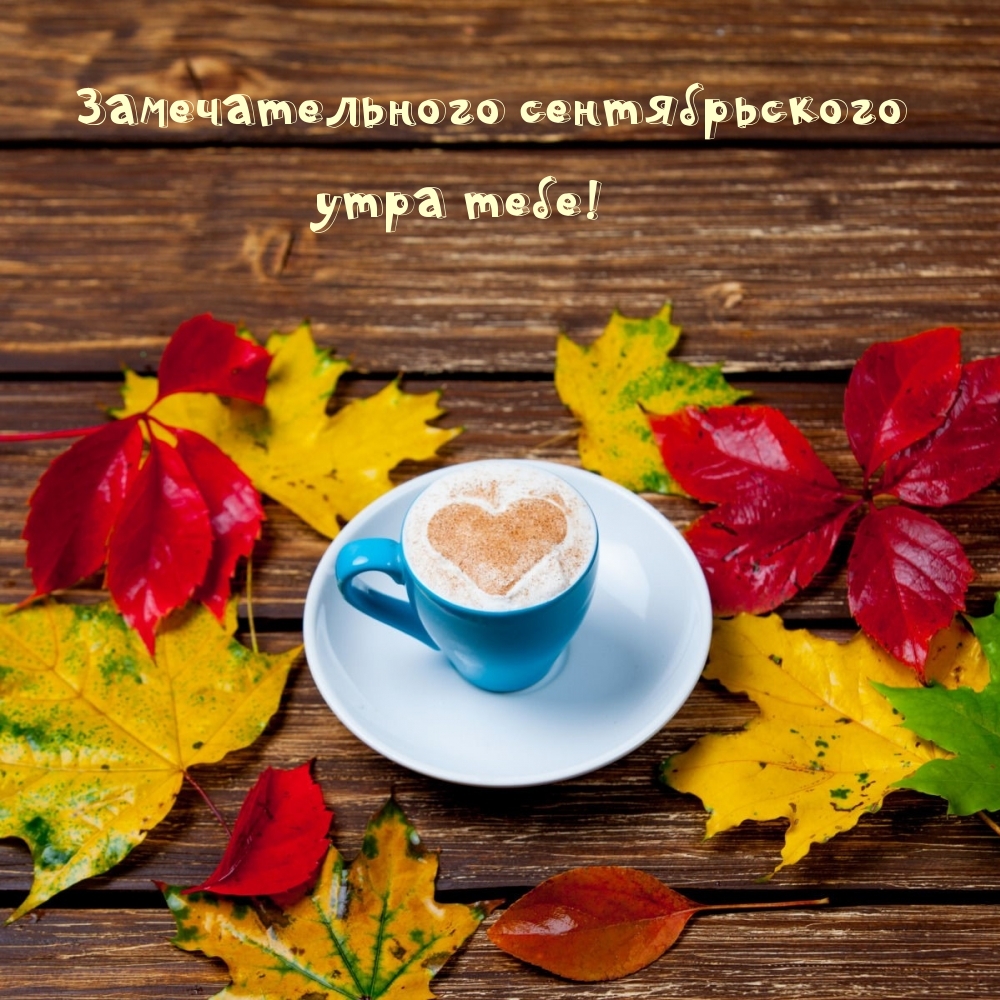 Замечательного сентябрьского утра тебе!