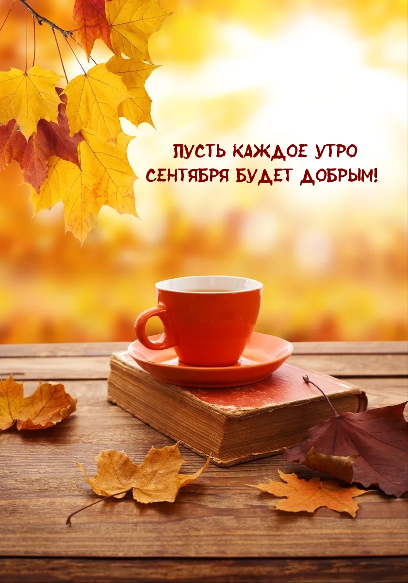 Пусть каждое утро сентября будет добрым!