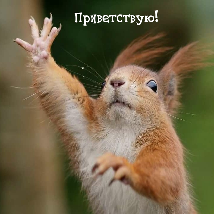 Приветствую!