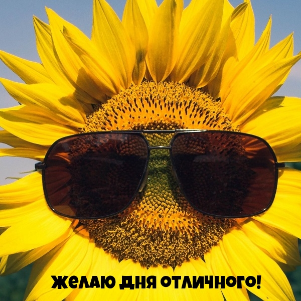 Желаю дня отличного!