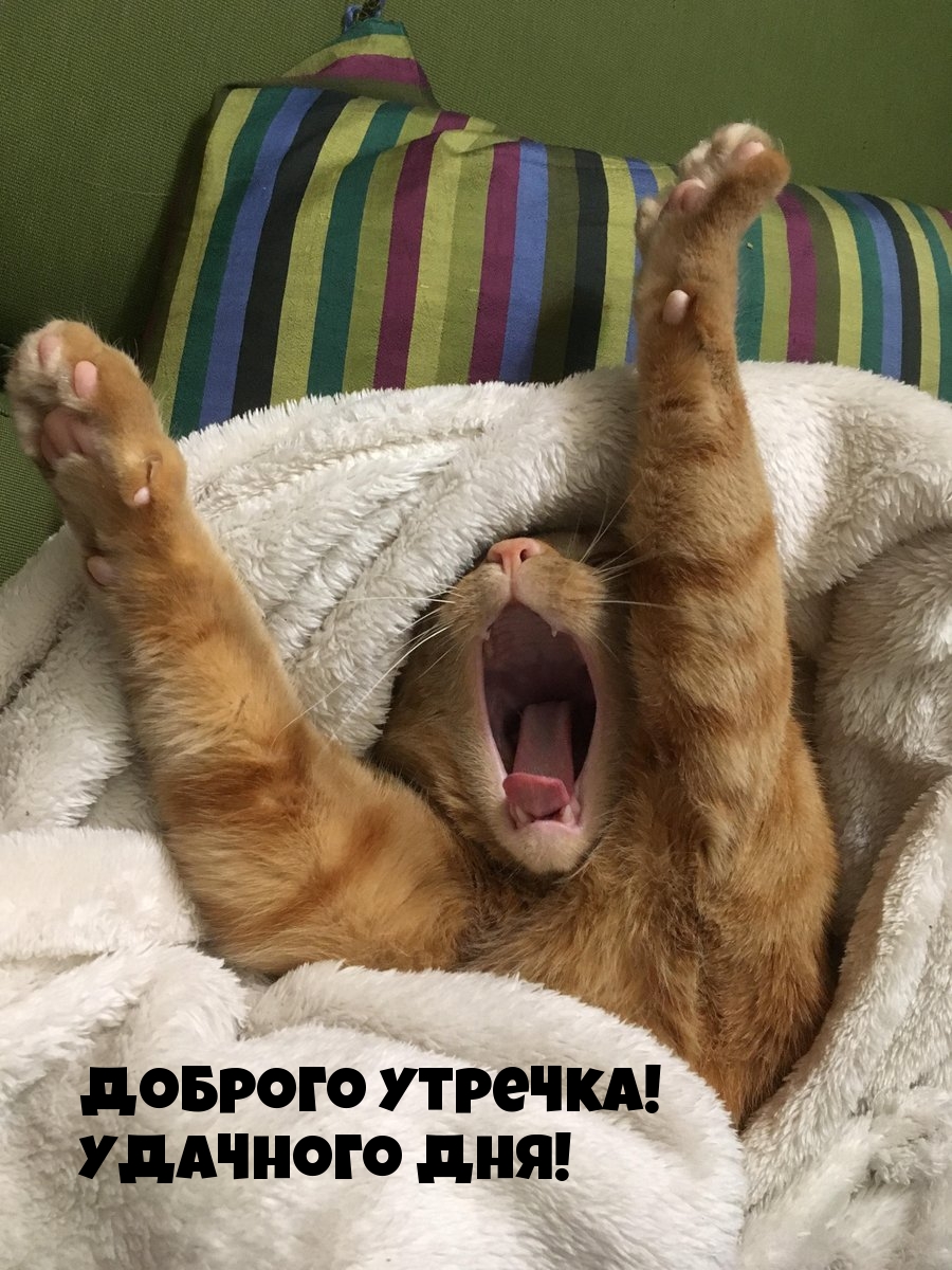 Доброго утречка! Удачного дня!