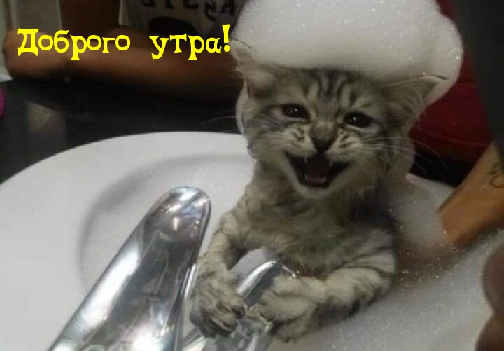 Доброго утра!