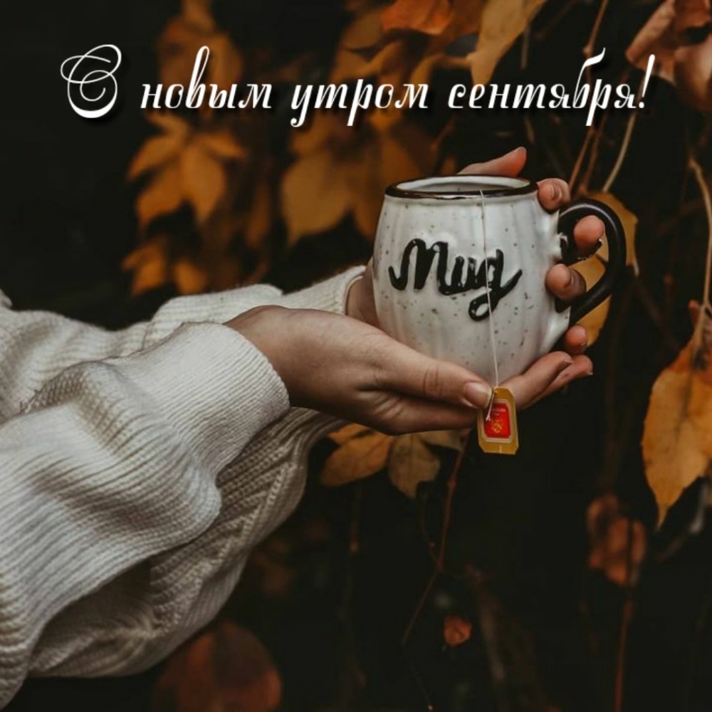 С новым утром сентября!
