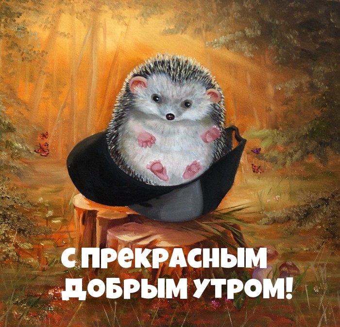 С прекрасным добрым утром!