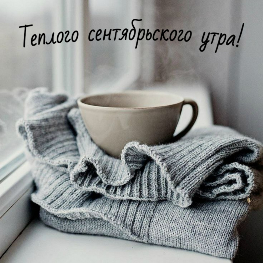 Теплого сентябрьского утра!