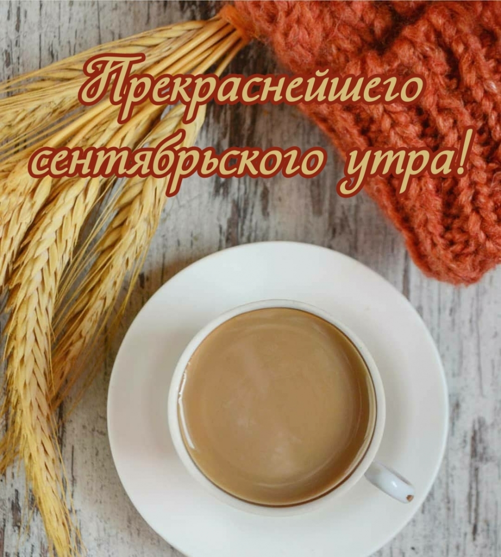 Прекраснейшего сентябрьского утра!