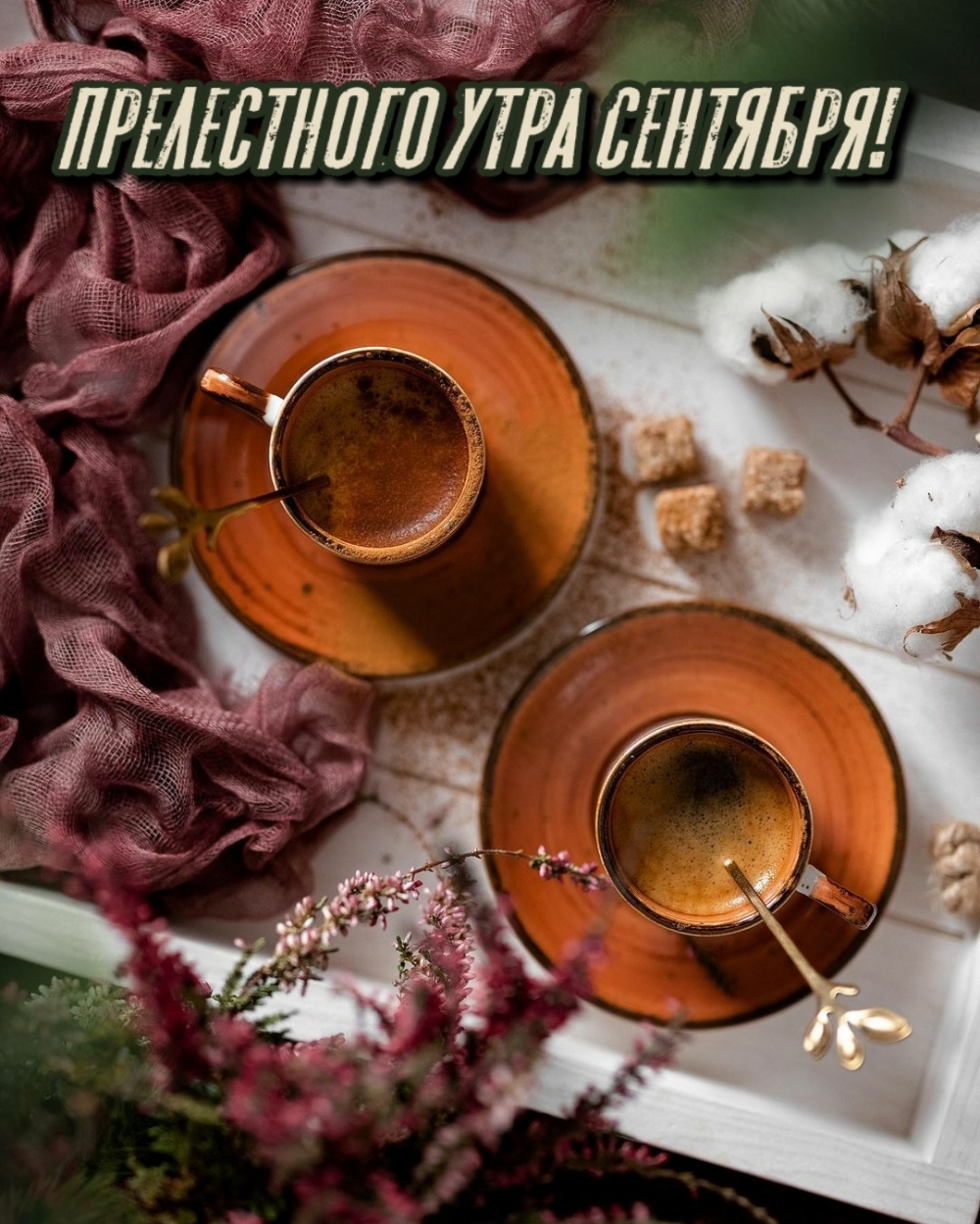 Прелестного утра сентября!