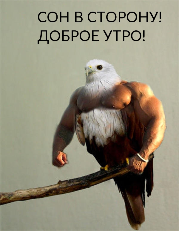 СОН В СТОРОНУ! ДОБРОЕ УТРО!