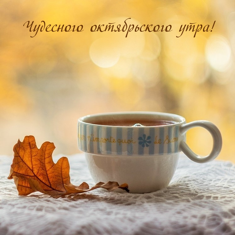 Чудесного октябрьского утра!