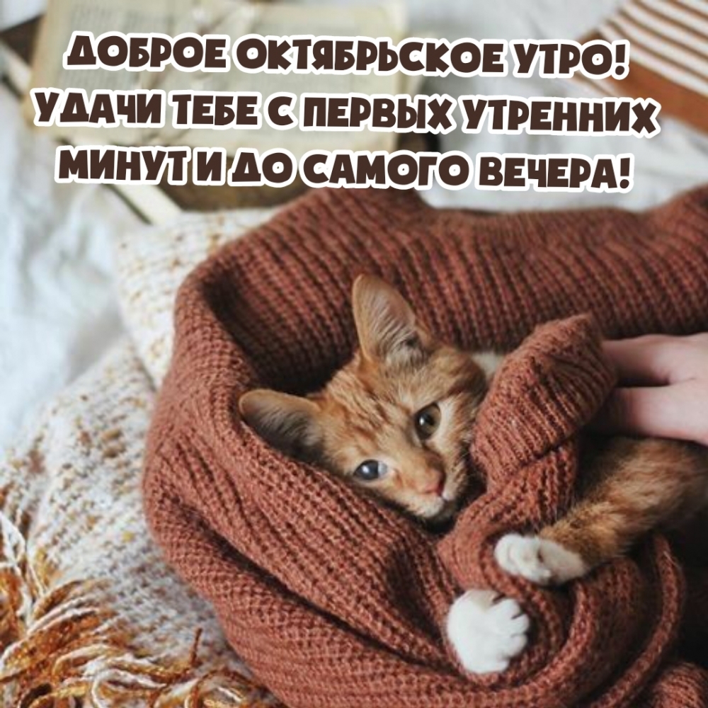 Доброе октябрьское утро!