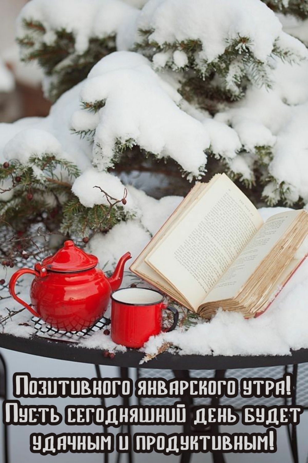 Позитивного январского утра!