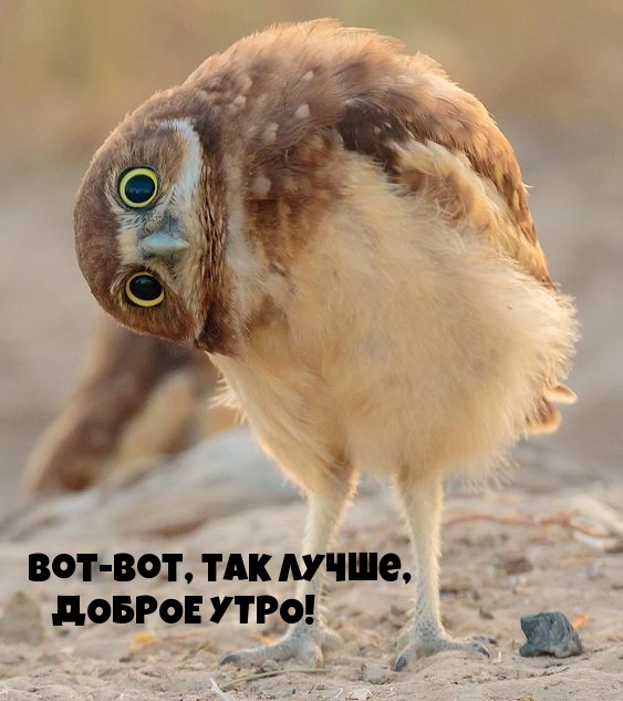 Вот-вот, так лучше, ДОБРОЕ УТРО!