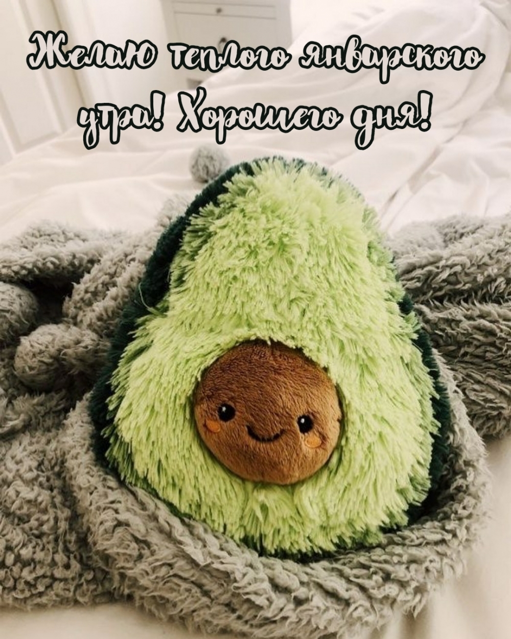 Желаю теплого январского утра! Хорошего дня!