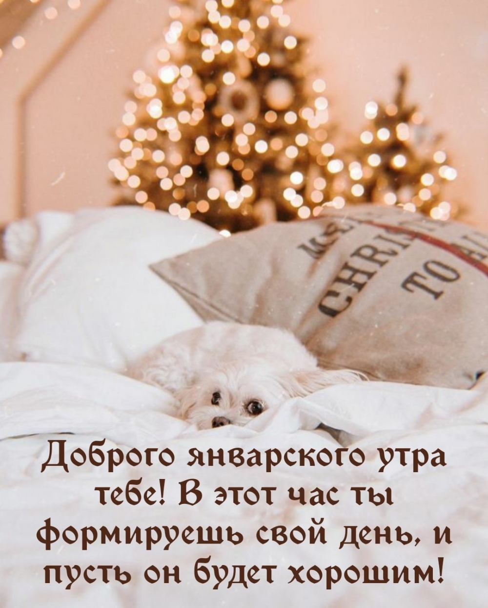 Картинка - Доброго январского утра тебе!.