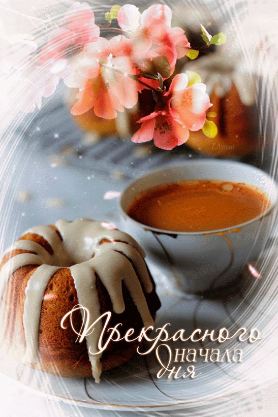 Прекрасного начала дня!