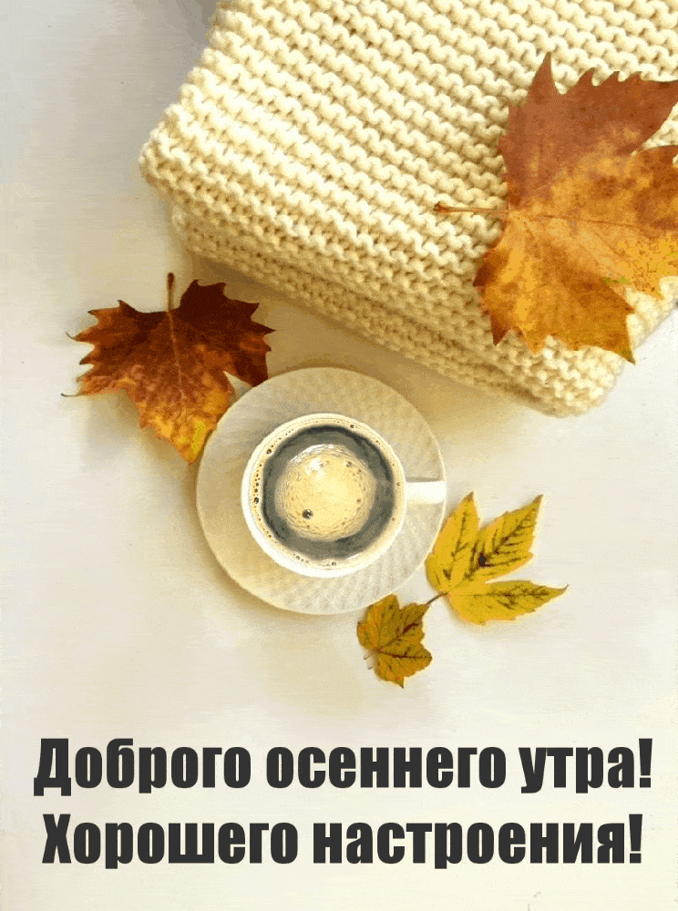 Доброго осеннего утра!