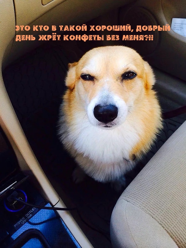 Это кто в такой хороший, добрый день жрёт конфеты без меня?!