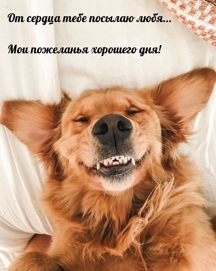 От сердца тебе посылаю любя… Мои пожеланья хорошего дня!