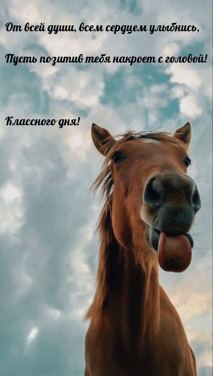 От всей души, всем сердцем улыбнись, классного дня!