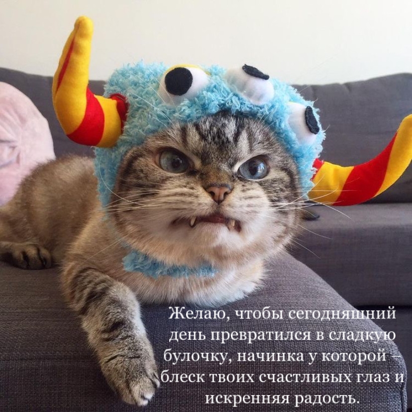 Желаю, чтобы сегодняшний день превратился в сладкую булочку
