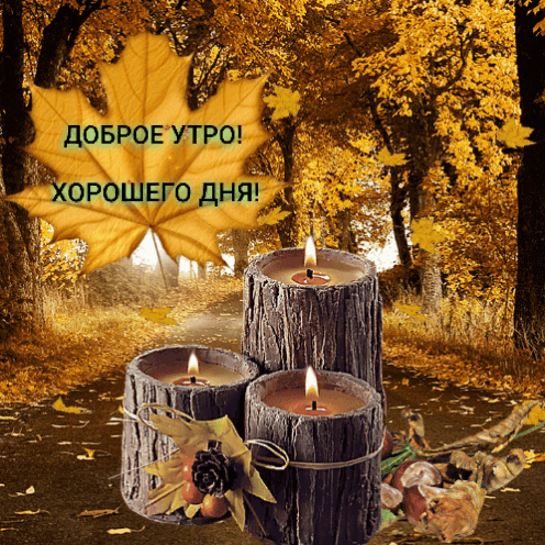 Доброе утро! Хорошего дня!