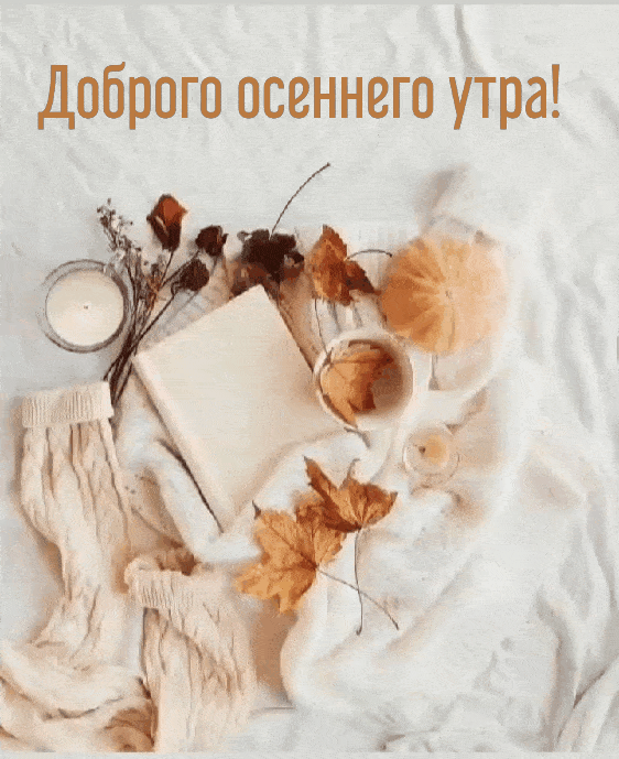 Доброго осеннего утра!