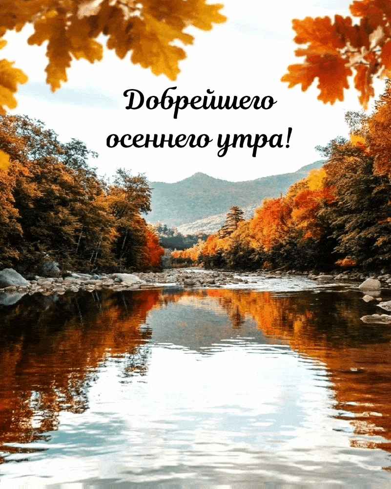 Добрейшего осеннего утра!
