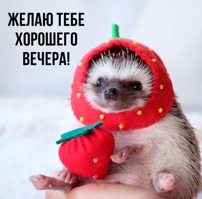 Желаю тебе хорошего вечера!