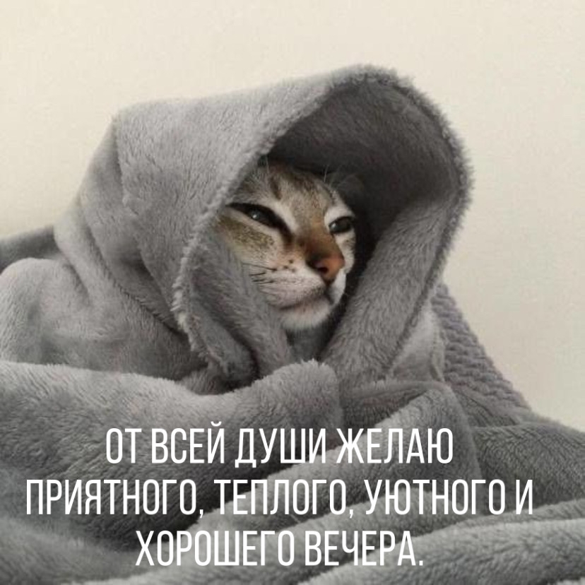 Желаю уютного вечера