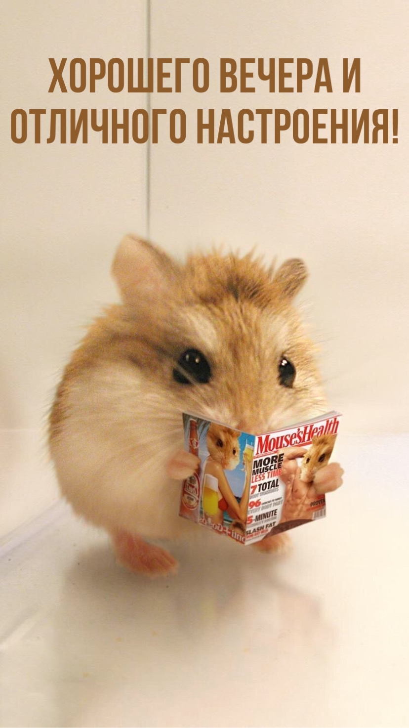 Хорошего вечера и отличного настроения!