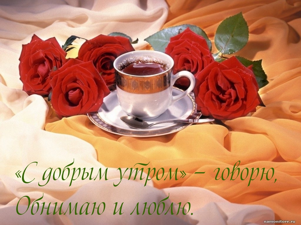 «С добрым утром» — говорю, Обнимаю и люблю.