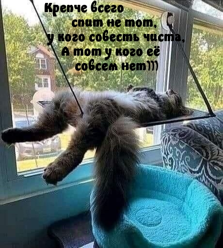 Крепче всего спит не тот, у кого совесть чиста