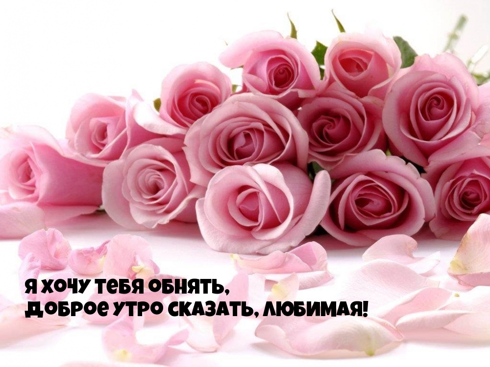 Я хочу тебя обнять, доброе утро сказать, ЛЮБИМАЯ!