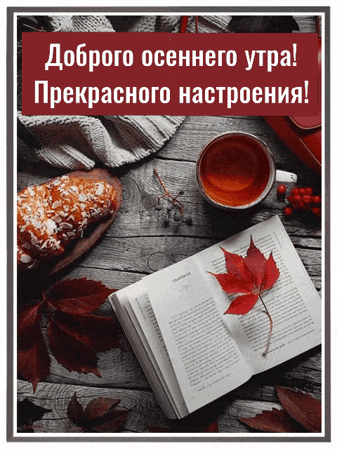 Доброго осеннего утра!