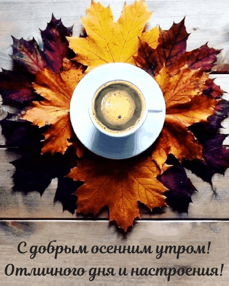 С добрым осенним утро!