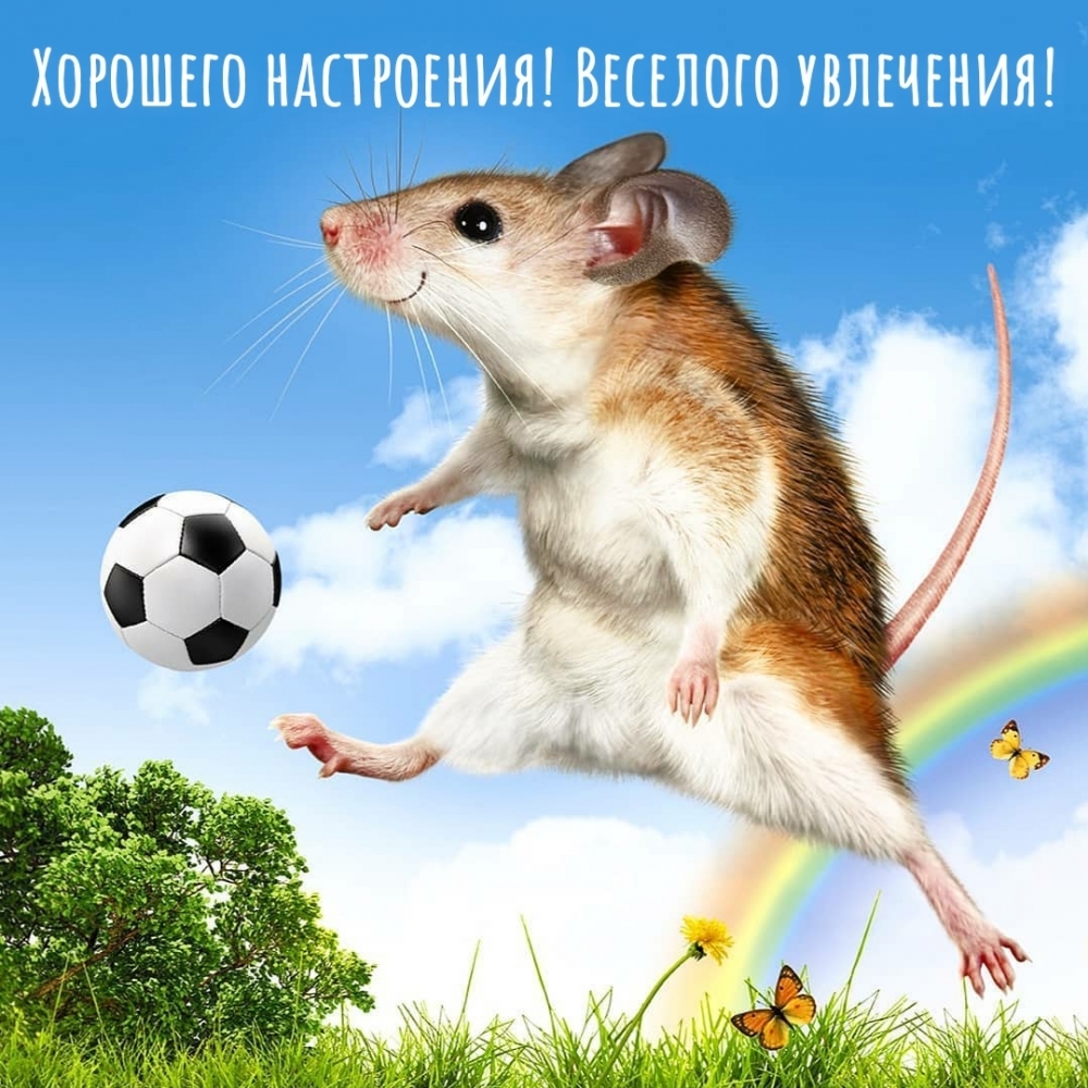 Хорошего настроения! Веселого увлечения!