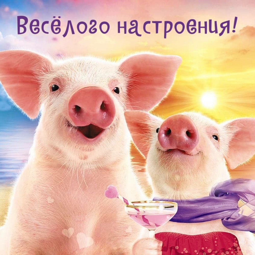 Весёлого настроения!