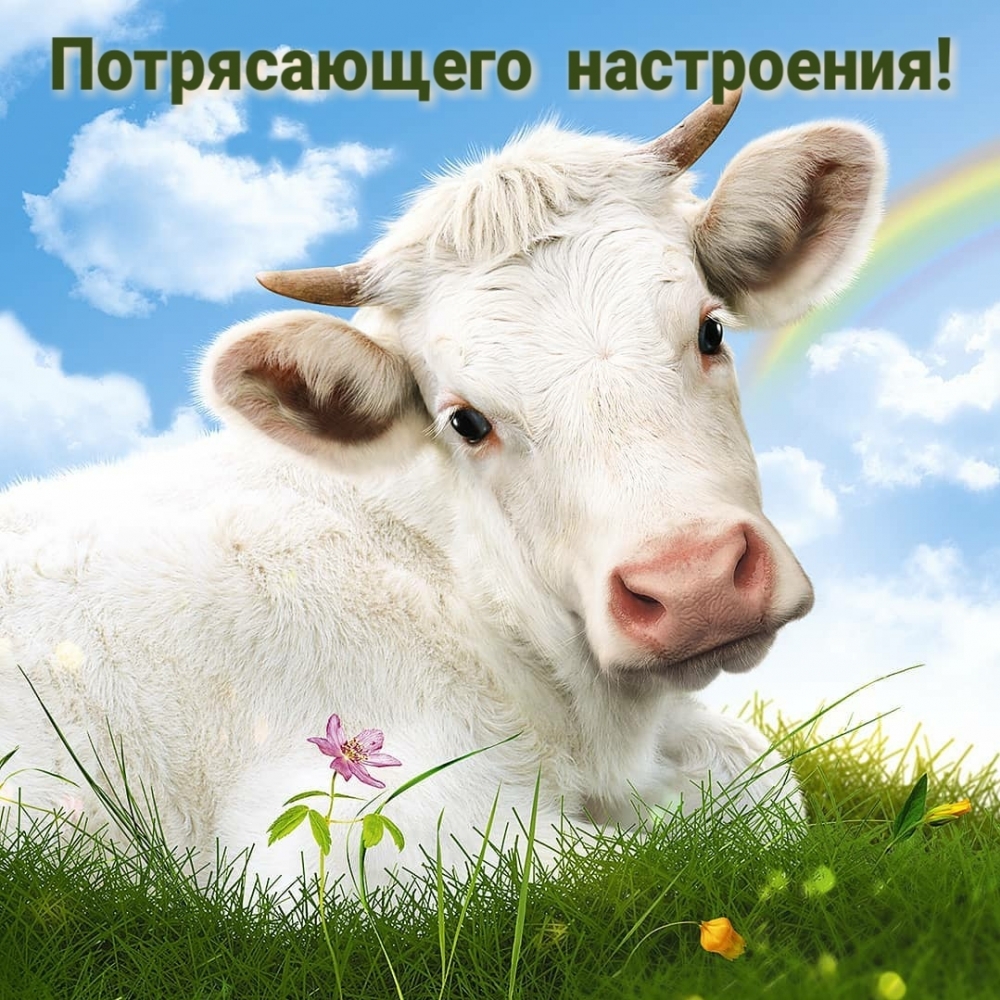 Потрясающего настроения!